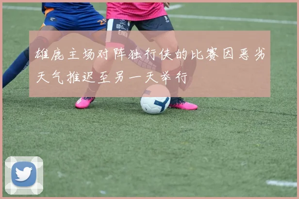 雄鹿主场对阵独行侠的比赛因恶劣天气推迟至另一天举行