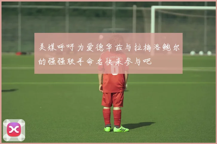 美媒呼吁为爱德华兹与拉梅洛鲍尔的强强联手命名快来参与吧
