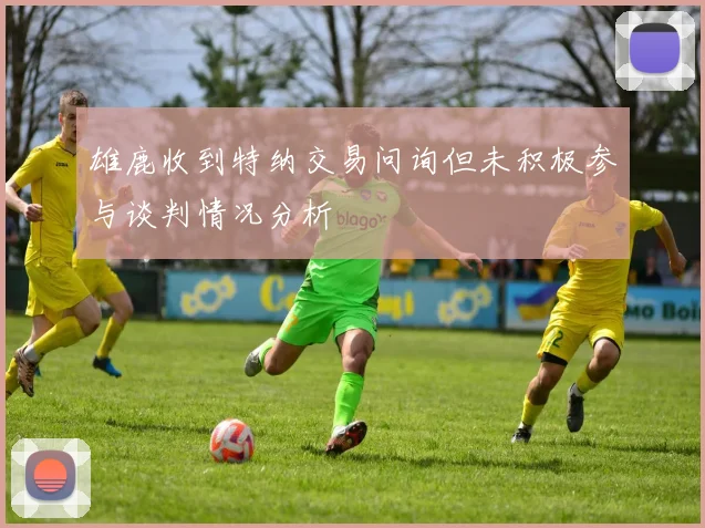 雄鹿收到特纳交易问询但未积极参与谈判情况分析